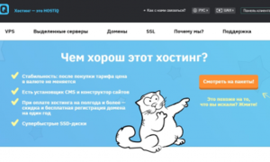 Лучший хостинг с заботливой поддержкой: почему стоит выбрать HOSTiQ.ua